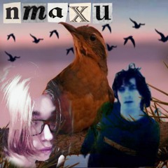 Птахи (Скрябін Cover)