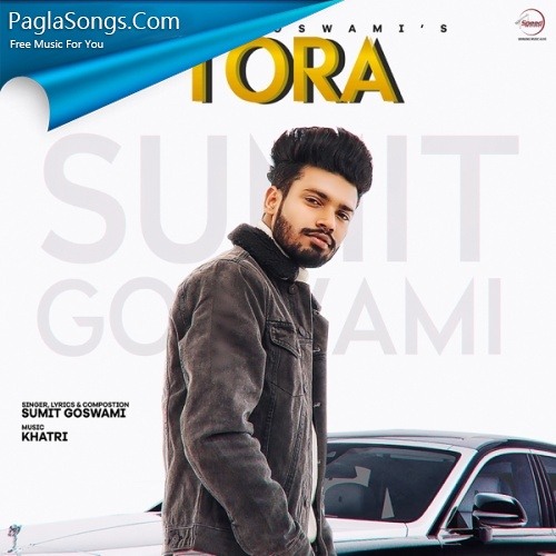 SUMIT GOSWAMI - TORA