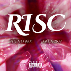Stefandahoe - Risc (Official Audio)
