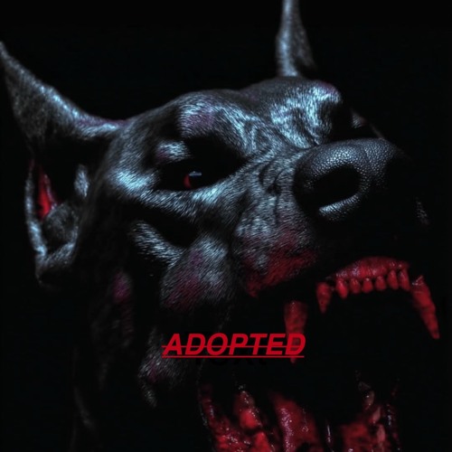 ADOPTED MIX /// FACING THE UNFACED