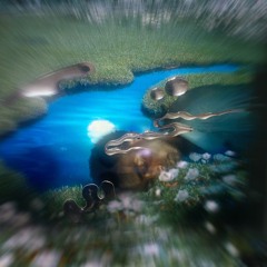 Invité.e Spécial.e — Orphéee