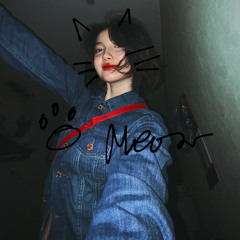 đèo em mèo đen (demo)