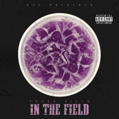 In the Field