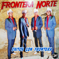Llegaste Tu