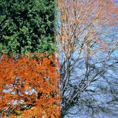 seasons ft. AV (GAXILLIC)