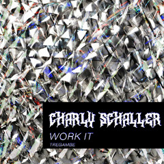 Charly Schaller - Work It [TREGAMBE]