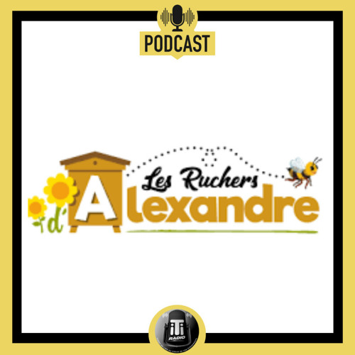 Les coulisses de l'artisanat - Les ruchers d'Alexandre