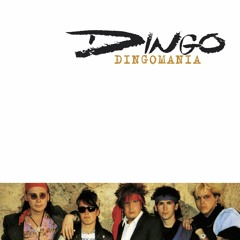 Dingomania