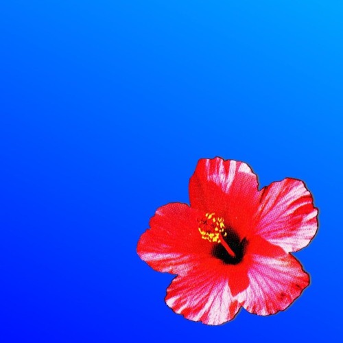 shewansumluv