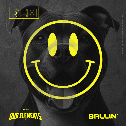 DUB ELEMENTS - Ballin' (DEM050)