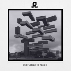 MNK063: Skebo - Looking At The Present EP