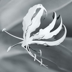 Stream Logan Sama - FABRICLIVE 83 promo mix (Wiley classics) by