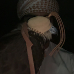 قالو حرام ندخل الغرب انساب