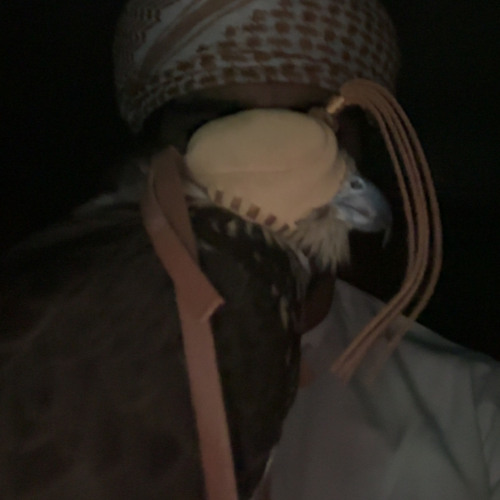 قالو حرام ندخل الغرب انساب