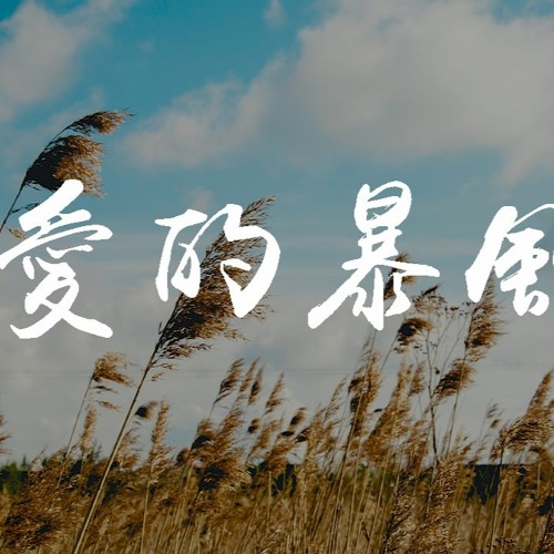 Stream 夢涵 愛的暴風雨 就让这大风吹一直吹吹呀吹吹呀吹 動態歌詞 Pin Yin Ge Ci By Wcy Music Studio Listen Online For Free On Soundcloud