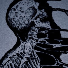 skin-demo version
