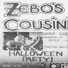 It's A Lie - 1983 ZEBOs COUSIN -  Rough Modern Re-Mix 11 05 2021