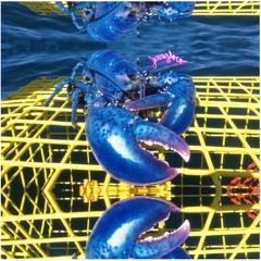 Jennyloco Presents // Home Coming Vibes