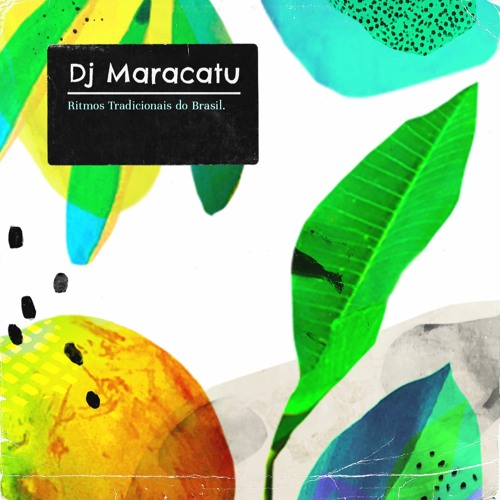 Stream Ritmos Tradicionais do Brasil Set by DJ Maracatu | Listen online ...