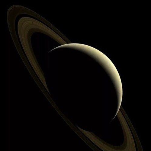 Angels — LA VACA SATURNO SATURNITA