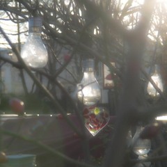 Somewhere Out There In This Rain