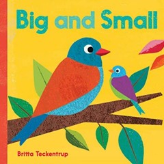 ACCESS EPUB KINDLE PDF EBOOK Big and Small by  Barefoot Books &  Britta Teckentrup 💝