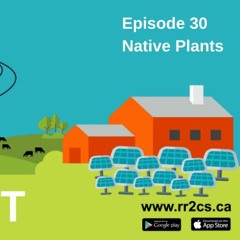 RR2CS Episode 30: Native Plants