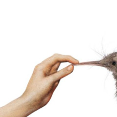 only as far as youll go