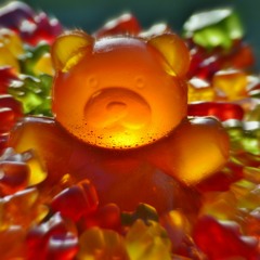 Tell Me // Sugar Crash