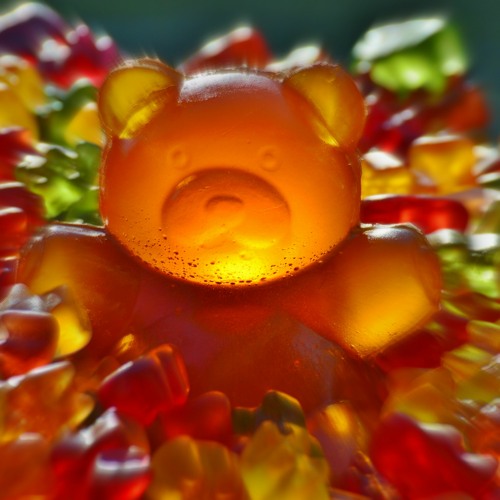 Tell Me // Sugar Crash