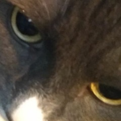 I did Crack Cocaine With a Homeless man Part 2