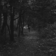 Woods 11 10 25