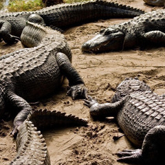 Pouring Red ft 1luhkain14 x Playbukkz