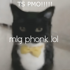 Mlg phonk lol (w/ ivixnmxne)