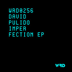 WRD0256 - David Pulido - Criticism (Original Mix).