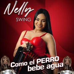Como El Perro Bebe Agua