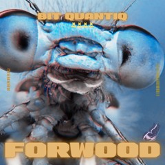 Forwood - Bit Quantiq (Original Mix)