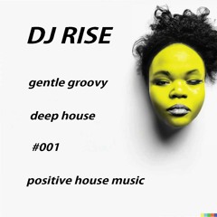 DJ RISE Gentle Groovy Deep House 7/17/23