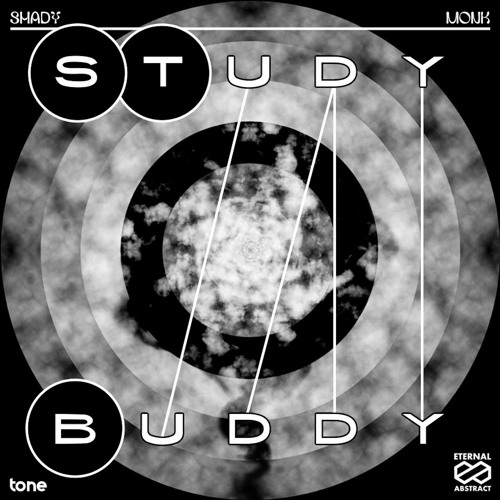 Shady Monk - Way Too Many Tabs