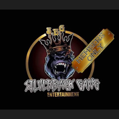 Lakeshore Dr Music (feat. Rozo Callo)