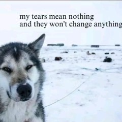 where did i go wrong?