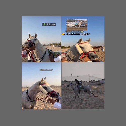 روحو للمجد وناموس سيدا  | جـوهر النزال 🔥