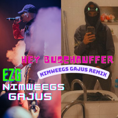 Hey Buschauffeur (Nimweegs Gajus Remix)