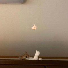 Ketika Semua Tak Terlihat