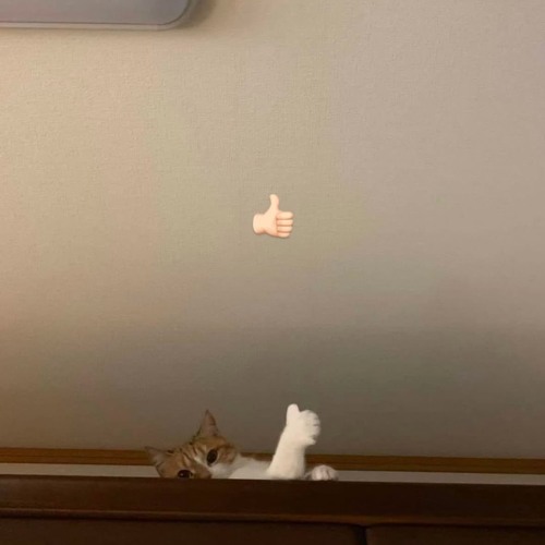 Ketika Semua Tak Terlihat