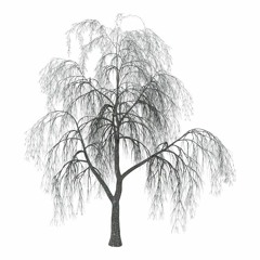 Exposé yourself to Art