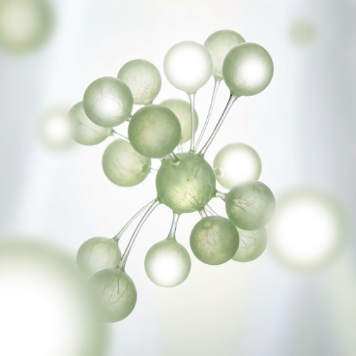 Metamorph-Techno.Experimental.Deconstructed (Apotheka Debut Set)