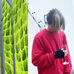 dna (lovbug)