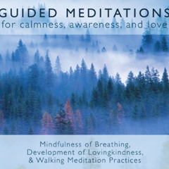 FREE EBOOK 📰 Guided Meditations: For Calmness, Awareness, and Love by  Bodhipaksa [K