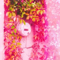 LOWCAST I (06 - 01 - 24) Live Demo Mix With Coastral